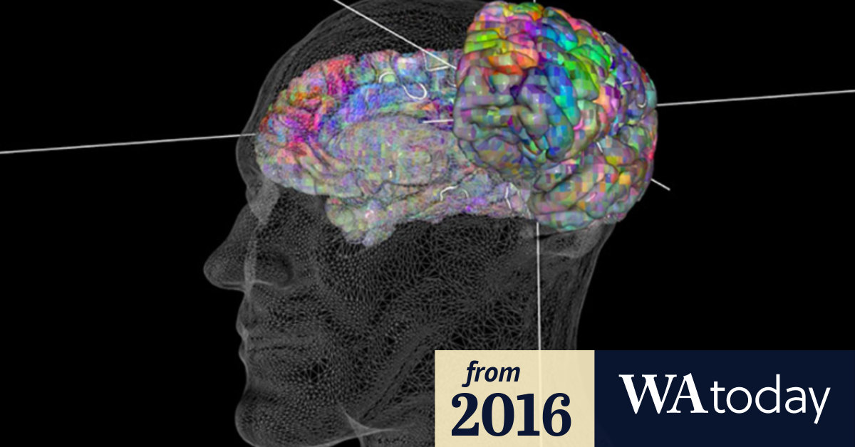 Video Mapping the human brain